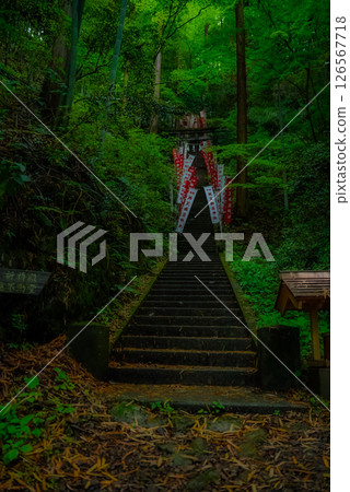 A sacred place surrounded by greenery A sacred place surrounded by greenery 126567718