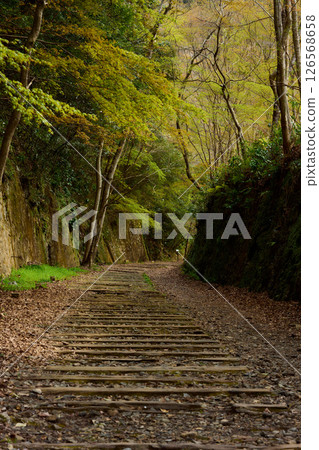 舊福知山線廢棄軌道 126568658