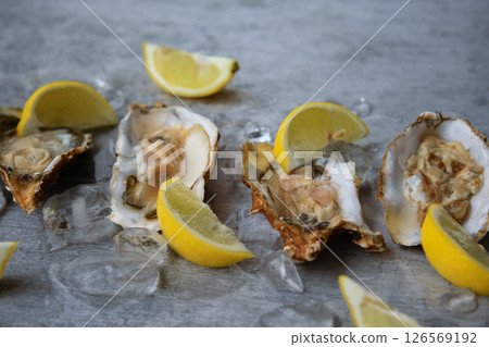 open oysters and lemons on the table open oysters and lemons on the table 126569192