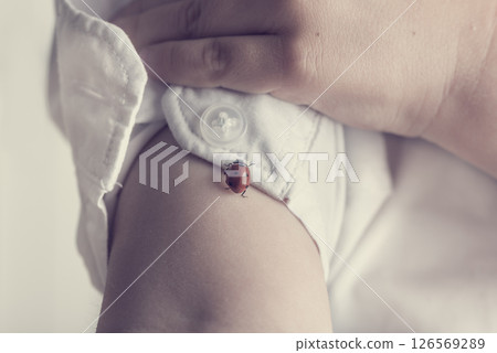 Child in white shirt playing with a red ladybug Child in white shirt playing with a red ladybug 126569289