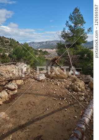 destruction in nature after the natural disaster of Dana 126569367