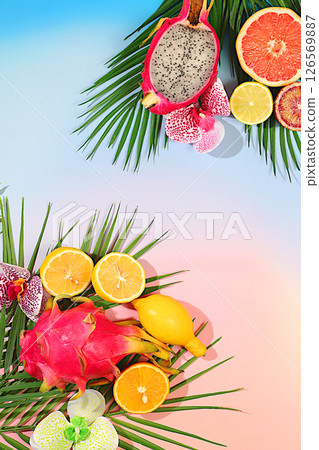 Tropical background with palm trees and exotic fruits, beautiful template for your design with space for text, bright sunny flyer, dragon fruit, pitaya, oranges, lemons, orchid flowers on palm leaves 126569887