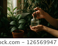 Watering Indoor Plant with Mist 126569947