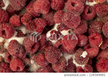 spoiled food products naturally grown raspberries spoiled food products naturally grown raspberries 126569991
