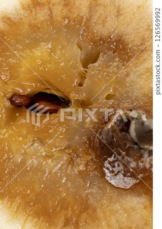one rotting apple on the table one rotting apple on the table 126569992