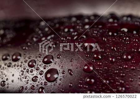 eggplant covered with drops of water , ripe eggplant on the table before cooking, close up eggplant covered with drops of water , ripe eggplant on the table before cooking, close up 126570022