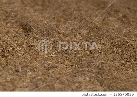 a part of a used coconut mattress to ensure hardness, closeup 126570039