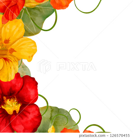 Watercolor Nasturtium Floral Border Featuring Lively Nasturtiums and Bright Flowers 126570455