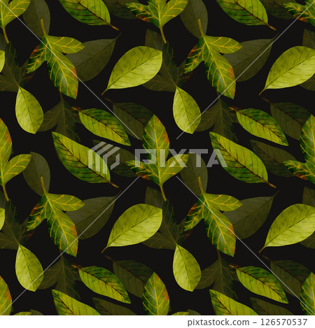 An Elegant Leaf Pattern Set Against a Rich Dark Background for Visual Contrast and Beauty 126570537