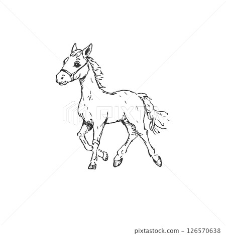 Adorable pony sketch in black ink, vector hand-drawn cartoon horse for kids, isolated clipart. Adorable pony sketch in black ink, vector hand-drawn cartoon horse for kids, isolated clipart. 126570638