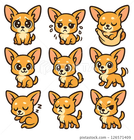 一組可愛的吉娃娃 126571409