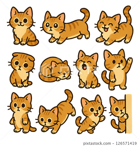 短腿妖精貓 126571419