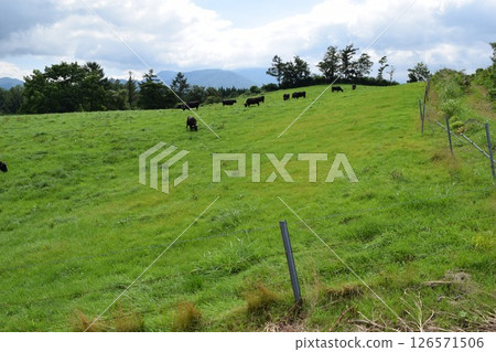 Gassan Plateau Ranch Best View Yamagata Prefecture Gassan Plateau Ranch Best View Yamagata Prefecture 126571506