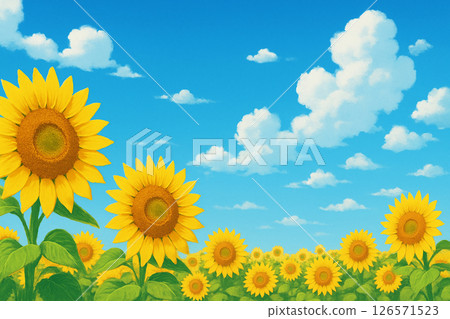 Summer landscape illustration with blue sky and sunflower fields 126571523