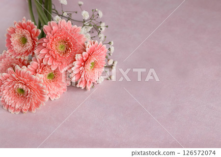粉紅色非洲菊和滿天星花束 粉紅色非洲菊和滿天星花束 126572074