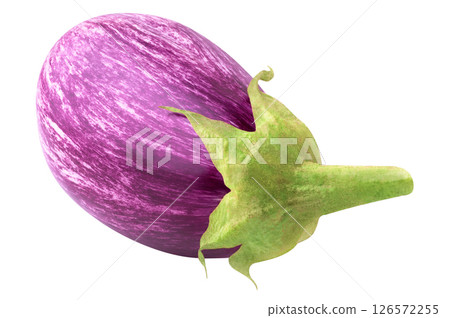 One fresh eggplant isolated on white backround 126572255