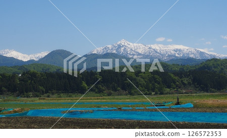 Fresh greenery and Mount Kuwazaki in the Tateyama mountain range 126572353