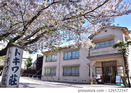 豐島區常盤莊漫畫博物館和櫻花 126572547