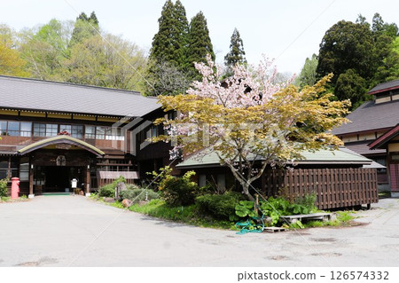 青森縣奧入瀨市蔦溫泉的新綠 126574332