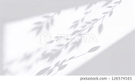 Grayscale leaf shadows on wall, soft light creates calm, natural, timeless aesthetic. 126574583