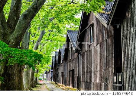 Yamagata Sankyo Soko: Rows of Zelkova trees and warehouses 126574648