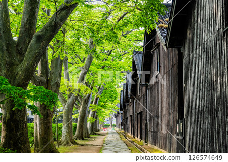 Yamagata Sankyo Soko: Rows of Zelkova trees and warehouses 126574649
