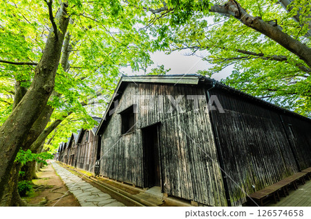 Yamagata Sankyo Soko: Rows of Zelkova trees and warehouses 126574658