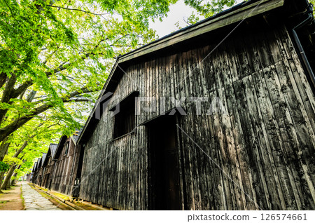 山形三共倉庫:櫸樹成蔭,倉庫林立 山形三共倉庫:櫸樹成蔭,倉庫林立 126574661