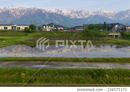 長野縣白馬村，白雪皚皚的白馬三山倒映在稻田中（無人機空拍） 126575171