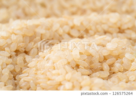 Close-up of germinated brown rice (raw rice) 126575264