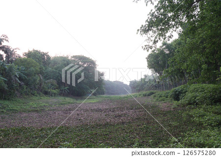 a dead river view on village a dead river view on village 126575280
