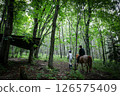 Horseback riding experience in the forest (retreat) 126575409