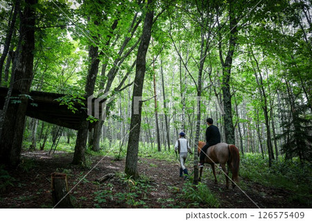 Horseback riding experience in the forest (retreat) 126575409