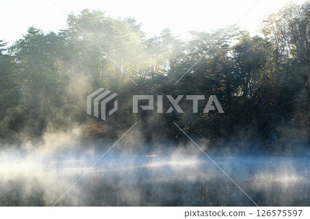 五色沼,晨霧繚繞,朝陽灑滿湖面 五色沼,晨霧繚繞,朝陽灑滿湖面 126575597