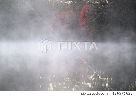 晨霧籠罩的五色沼 126575622