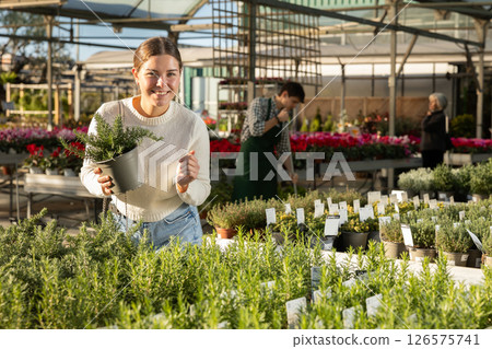 Young woman buy potted rosemary plant in shop 126575741