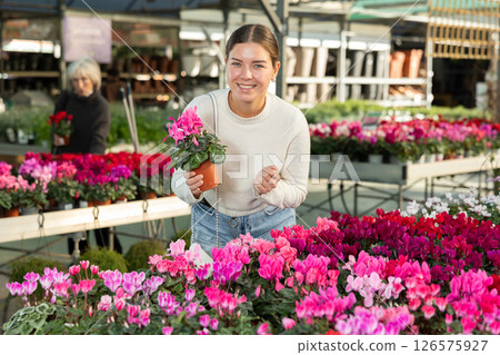 Young woman buy potted cyclamen plant in shop Young woman buy potted cyclamen plant in shop 126575927