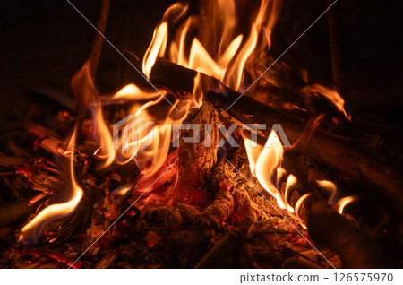 Close up of flame of bonfire burning in the wood. A large fire that is made outside to burn unwanted things, or for pleasure. 126575970