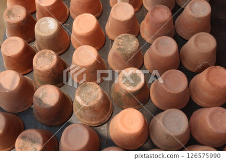 Clay made tree Pot for plant Clay made tree Pot for plant 126575990