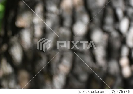 以鬆樹皮為主題的背景資料 以鬆樹皮為主題的背景資料 126576526