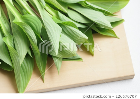 Spring vegetable: Urui 126576707