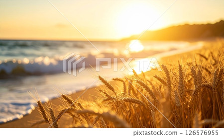 Warm sunlight paints the desert landscape and mountain horizons, with the sun setting over calm ocean waves or rising above sandy beaches under a beautiful sky 126576955