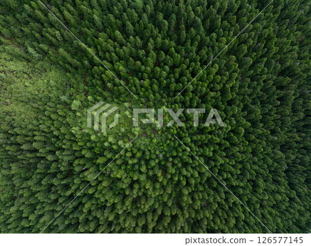 Aerial view of beautiful high altitude forest grassland mountain landscape Aerial view of beautiful high altitude forest grassland mountain landscape 126577145