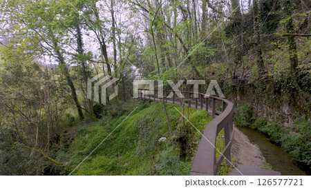 Curving wooden walkway alongside a levada winds through a lush forest in Felgueiras 126577721