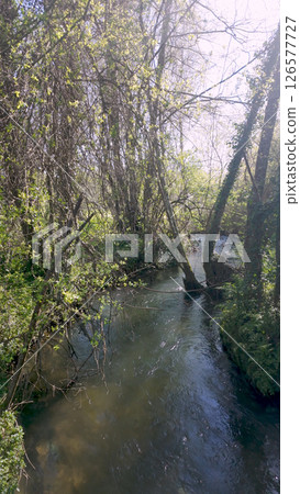 River Uima flows gently through Parque das Ribeiras River Uima flows gently through Parque das Ribeiras 126577727