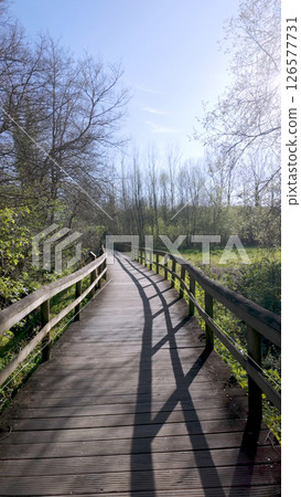 Curving wooden walkway extends through Parque das Ribeiras Curving wooden walkway extends through Parque das Ribeiras 126577731