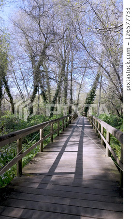 Long wooden boardwalk stretches into the distance at Parque das Ribeiras 126577733