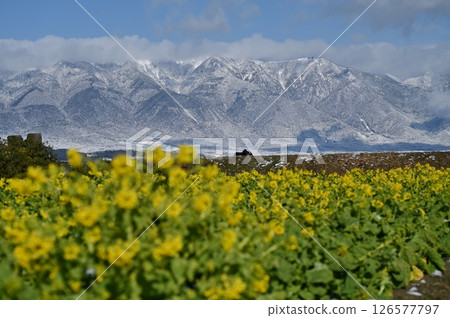 Daiichi Nagisa Park強姦場 Daiichi Nagisa Park強姦場 126577797