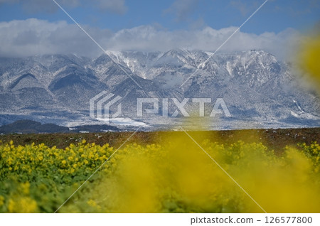 Daiichi Nagisa Park強姦場 Daiichi Nagisa Park強姦場 126577800