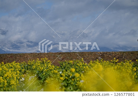 Daiichi Nagisa Park強姦場 Daiichi Nagisa Park強姦場 126577801